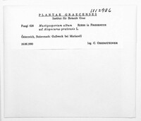 Image Associated With the Occurence